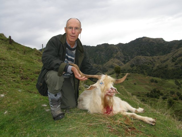 Pacific Goat Pacific Goat